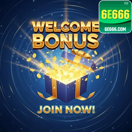 6e666 — chamado financeiro acompanhado do comprovante de transferência
